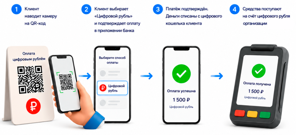 Схема для физической оплаты цифровым рублём: клиент сканирует QR-код, подтверждает платёж в приложении банка, средства поступают на счёт организации